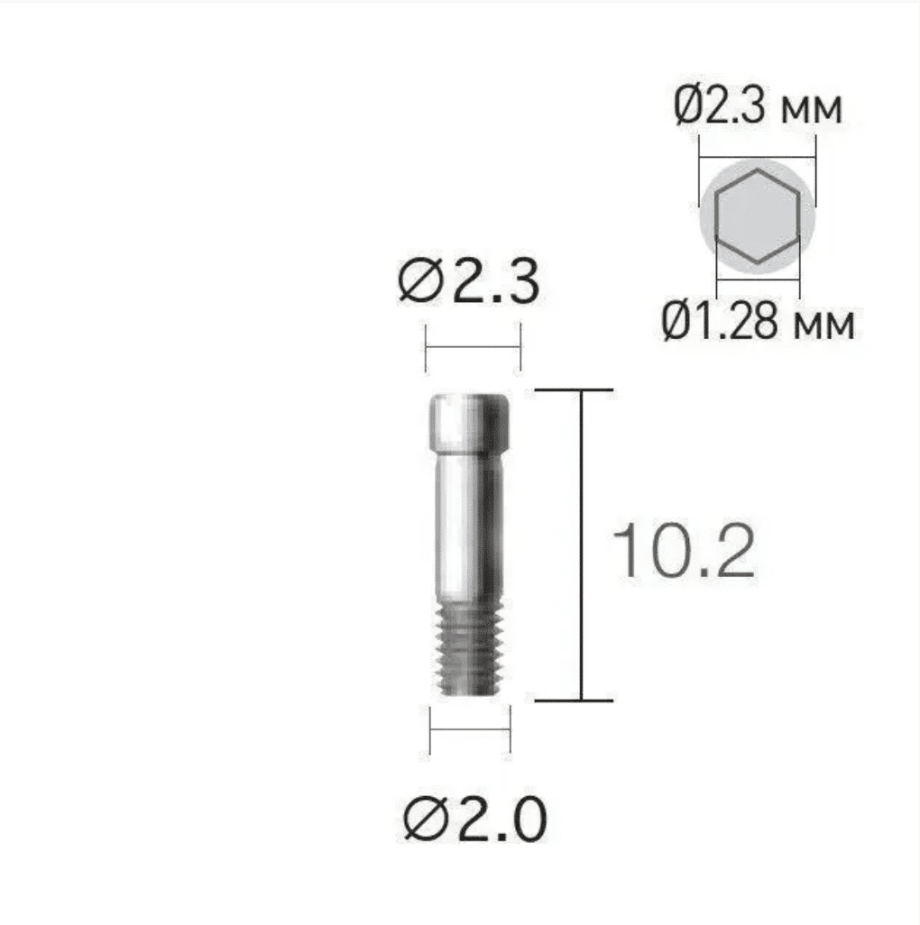 Dentium E-Abutment Screw (ASC2045)