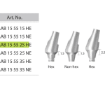 Dentium E-Angled Abutment [AAB155525NE] 2