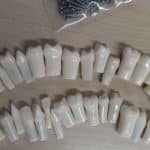 Shengli SHENGLI mask 2