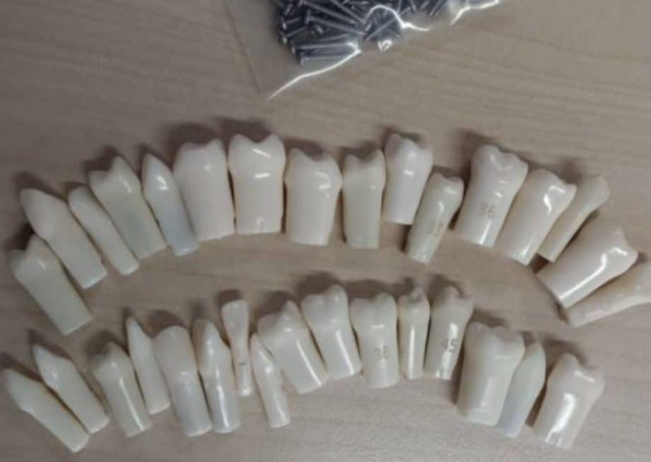 Shengli SHENGLI teeth